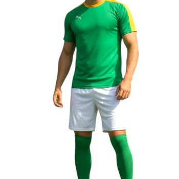 Puma T7 Kit