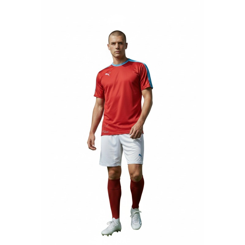 Puma T7 Kit