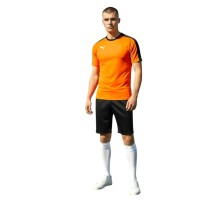 Puma T7 Kit Puma T7 Kit
