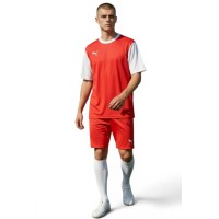 Puma T8 Kit Puma T8 Kit