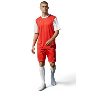 Puma T8 Kit