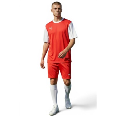 Puma T8 Kit Puma T8 Kit