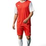 Puma T8 Kit