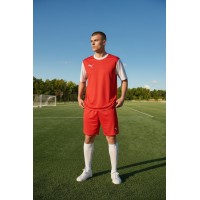 Puma T8 Kit Puma T8 Kit