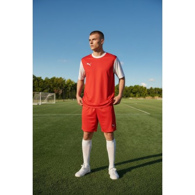 Puma T8 Kit Puma T8 Kit