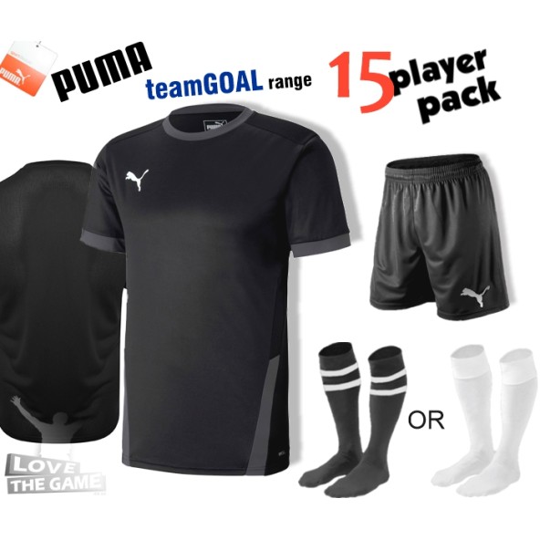 Puma teamGOAL Kit