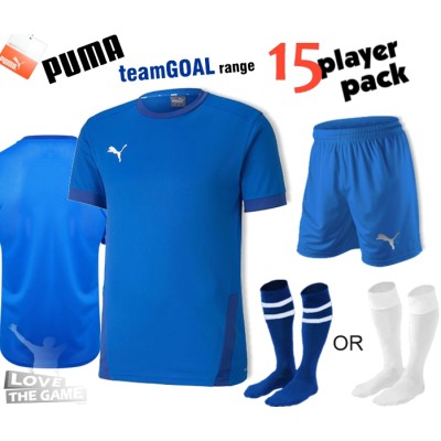 Puma teamGOAL Kit