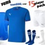 Puma teamGOAL Kit