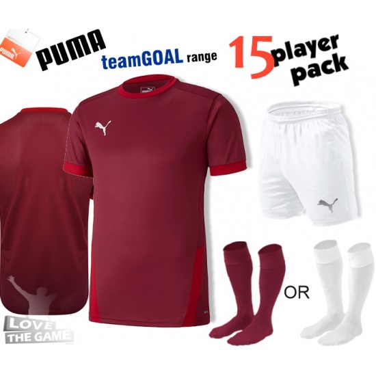 Puma teamGOAL Kit