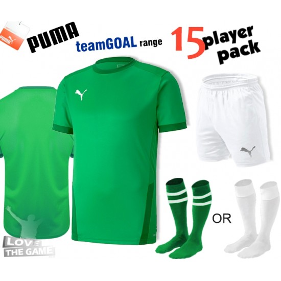 Puma teamGOAL Kit