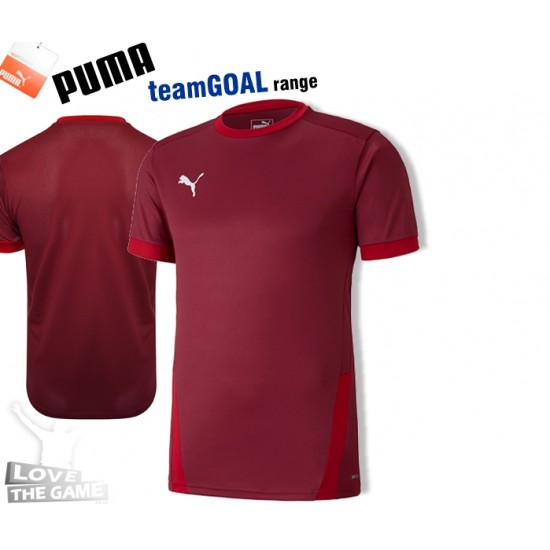 Puma teamGOAL Shirts