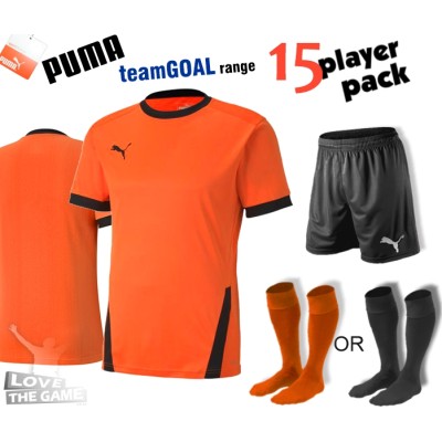 Puma teamGOAL Kit