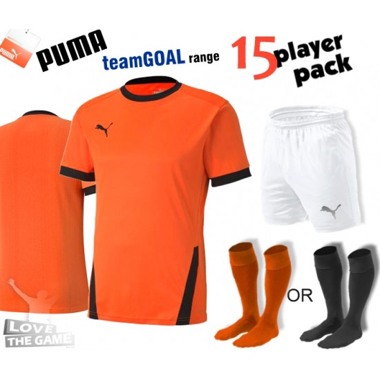 Puma teamGOAL Kit