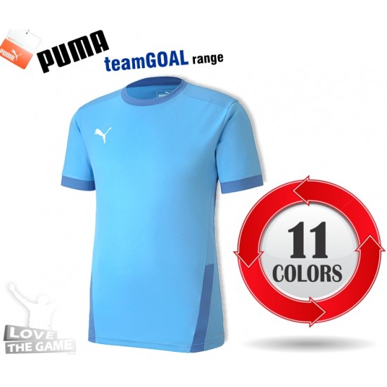 Puma teamGOAL Shirts