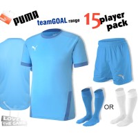 Puma teamGOAL Kit