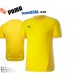 Puma teamGOAL Shirts