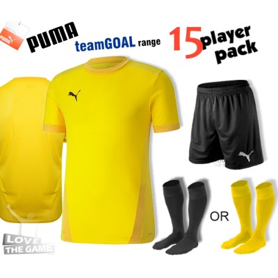 Puma teamGOAL Kit