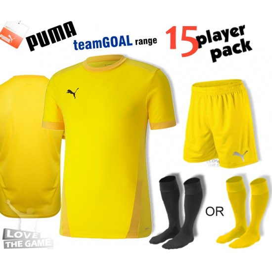 Puma teamGOAL Kit