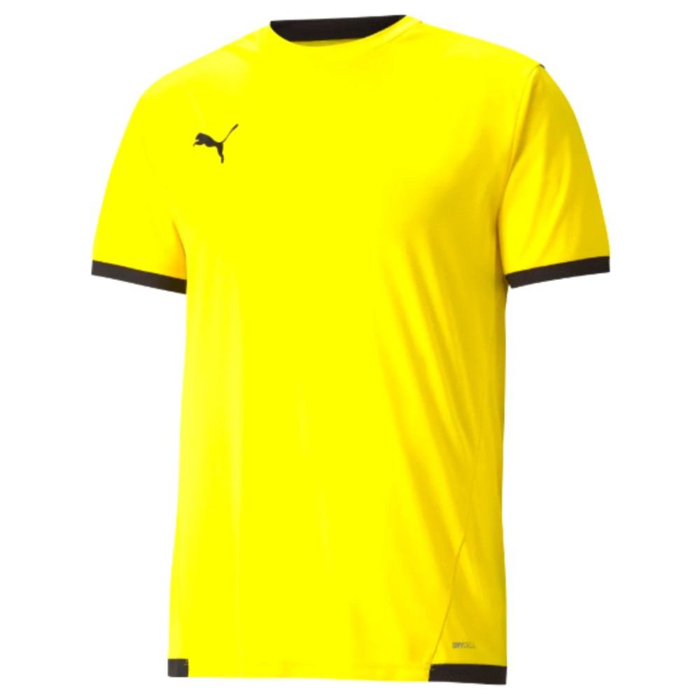 Puma teamLIGA Shirts Puma teamLIGA Shirts