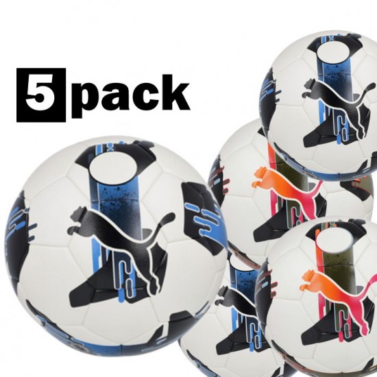 Puma Fifa Hardground Match Ball