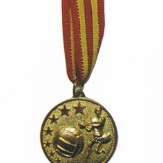 Netball Medals Netball Medals
