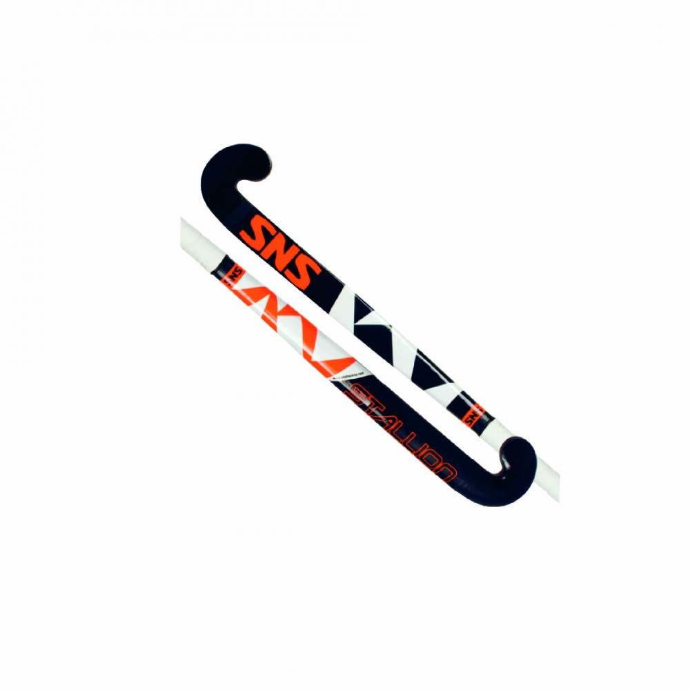 Hockey Stick Hockey Stick
