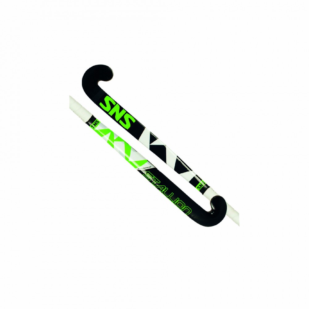 Hockey Stick Hockey Stick
