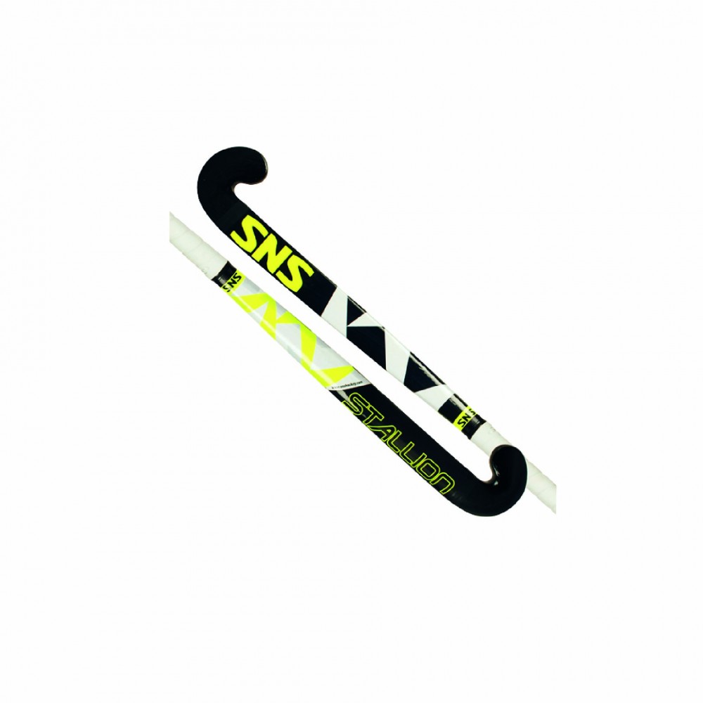 Hockey Stick Hockey Stick
