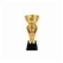 Trophy 29cm high