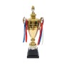 Trophy 61cm high