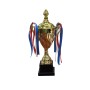 Trophy 29cm high