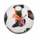 Puma Fifa Hardground Match Ball