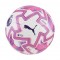 Puma Fifa Match Ball