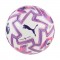 Puma Fifa Match Ball