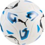 Puma STELLAR Goal Hardground (FIFA Quality) Ball