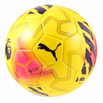 Puma Fifa Hardground Match Ball