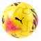 Puma Fifa Hardground Match Ball