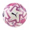 Puma Fifa Hardground Match Ball
