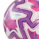 Puma Training Ball