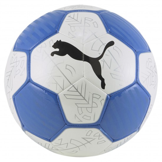 Puma Training Ball