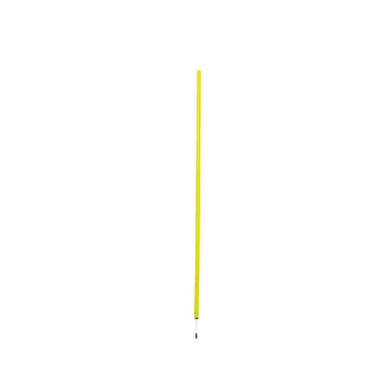 Slalom pole