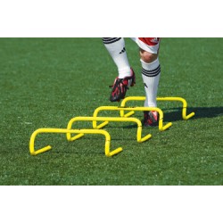 Training Hurdles Training Hurdles