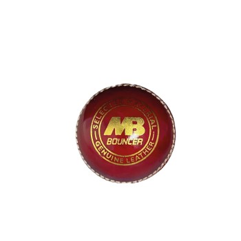 Cricket Bouncer Training ball Cricket Bouncer Training ball