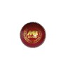 Cricket Bouncer Training ball