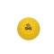 Cricket Bowling Machine Ball