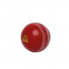 Cricket Poly Soft Training Ball