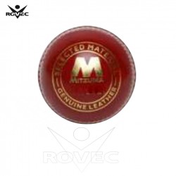 Cricket Bouncer ball Cricket Bouncer ball