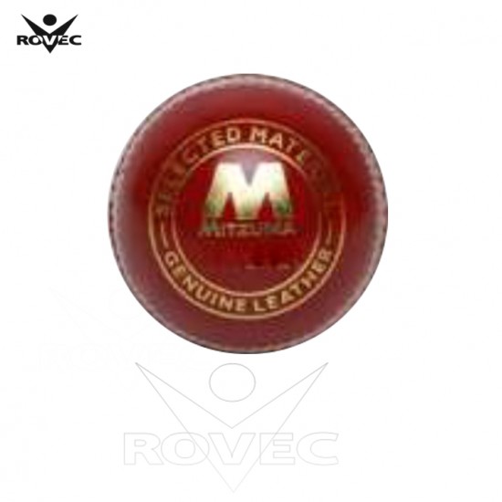 Cricket Bouncer ball
