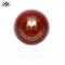Cricket Bouncer ball