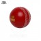 Cricket Poly Hard Ball